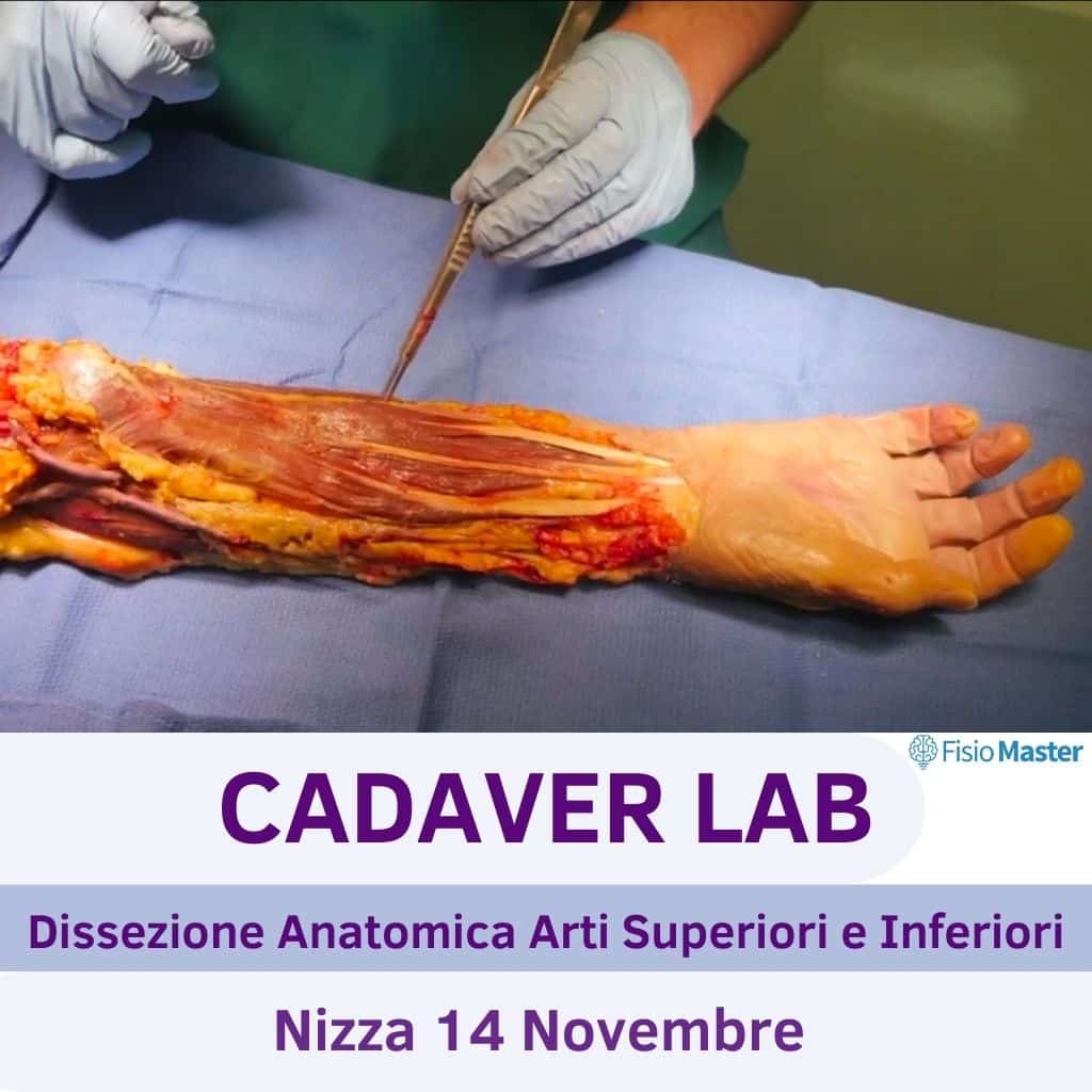 cadaver lab dissezione anatomica corsi ecm per fisioterapisti