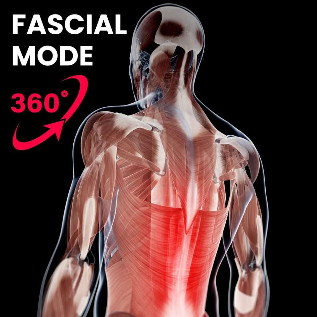 fascial mode corsi ecm per fisioterapisti