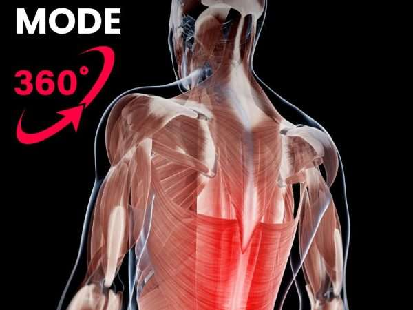 fascial mode corsi ecm per fisioterapisti